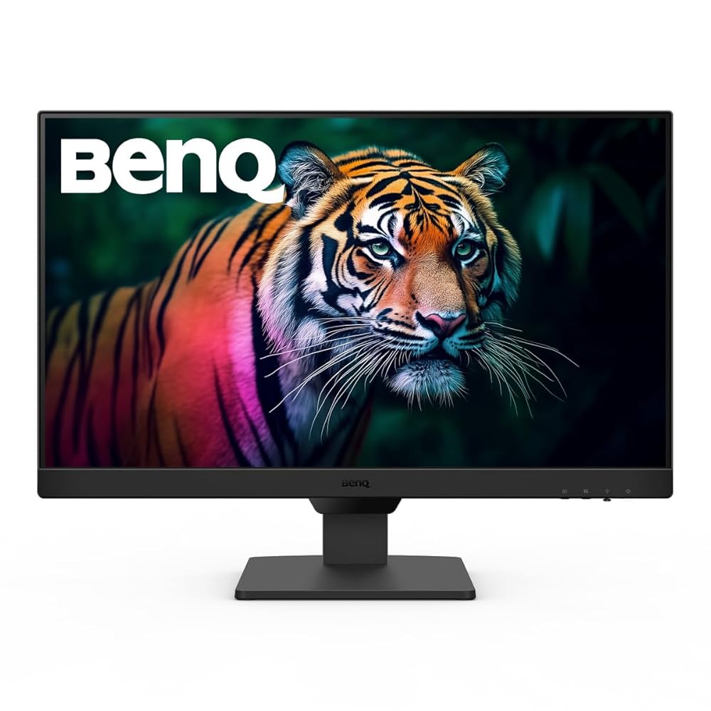 Agosto様　BenQ GW2490 24インチモニター BenQ GW2490 60.5 cm 1080p FHD 100Hz IPS Eye Care Monitor