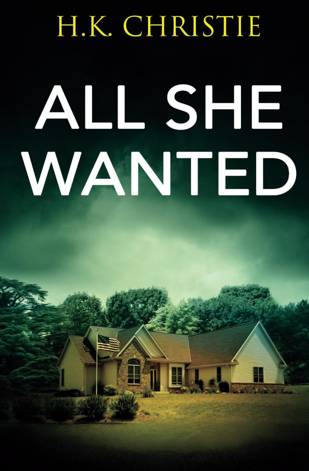 All She Wanted: 3 (Martina Monroe Crime Thriller)