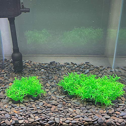 Image of Aquarium Plant Fish Tank Decoration 20 Pieces Small /1 inch Tall Plastic Artificial Plant Goldfish Hidden Mini Grass Set (Green-A)