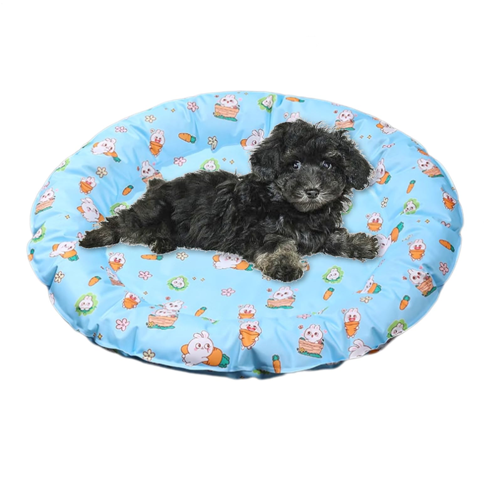 Genérico Mat de Enfriamiento del Gato, Camas de Refrigeración para Perro | Estera de Refrigeración Transpirable - Manta para Mascotas para Pequeños Corazones de Gatos Medianos y Grandes