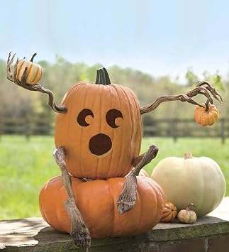 Plow & Hearth Set of 4 Bendable Pumpkin Arms and Legs | Twisting Vines for Halloween Pumpkin Carving DIY Crafts for Kids | Includes 2 arms and 2 Legs | Outdoor & Indoor Halloween Decorations