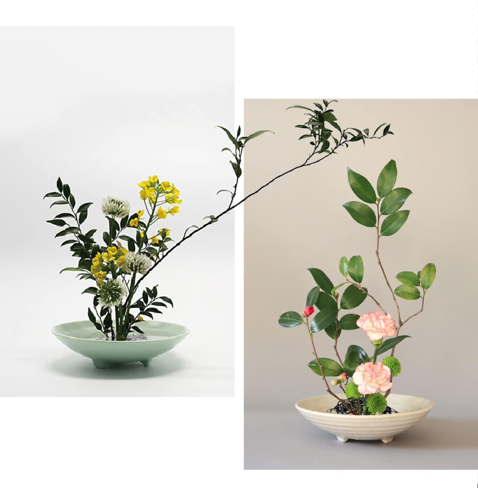 Amazon | Cilevizy 2点セット 花留 鶴の巣 剣山 生け花ツール フラワー