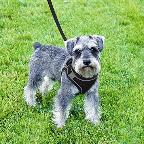 Pinenuts Reflective Dog Harness Small Dog and Leash Set, No Pull Mesh Dog Vest Harness, Comfortable Breathable Dog Walking Harness for Puppy/Small Animals/Cats