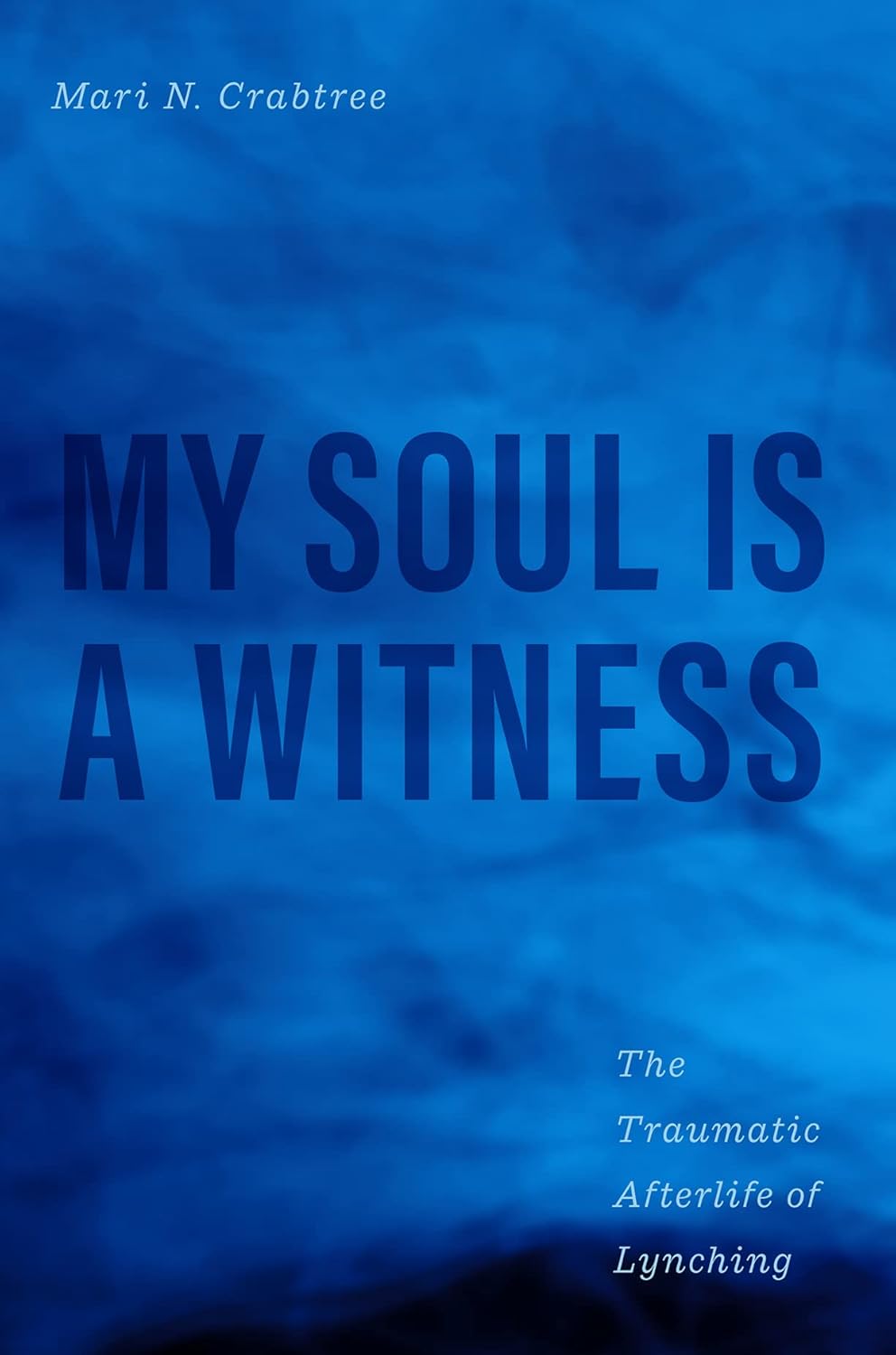 My Soul Is a Witness: The Traumatic Afterlife of Lynching (New Directions in Narrative History)      Kindle Edition