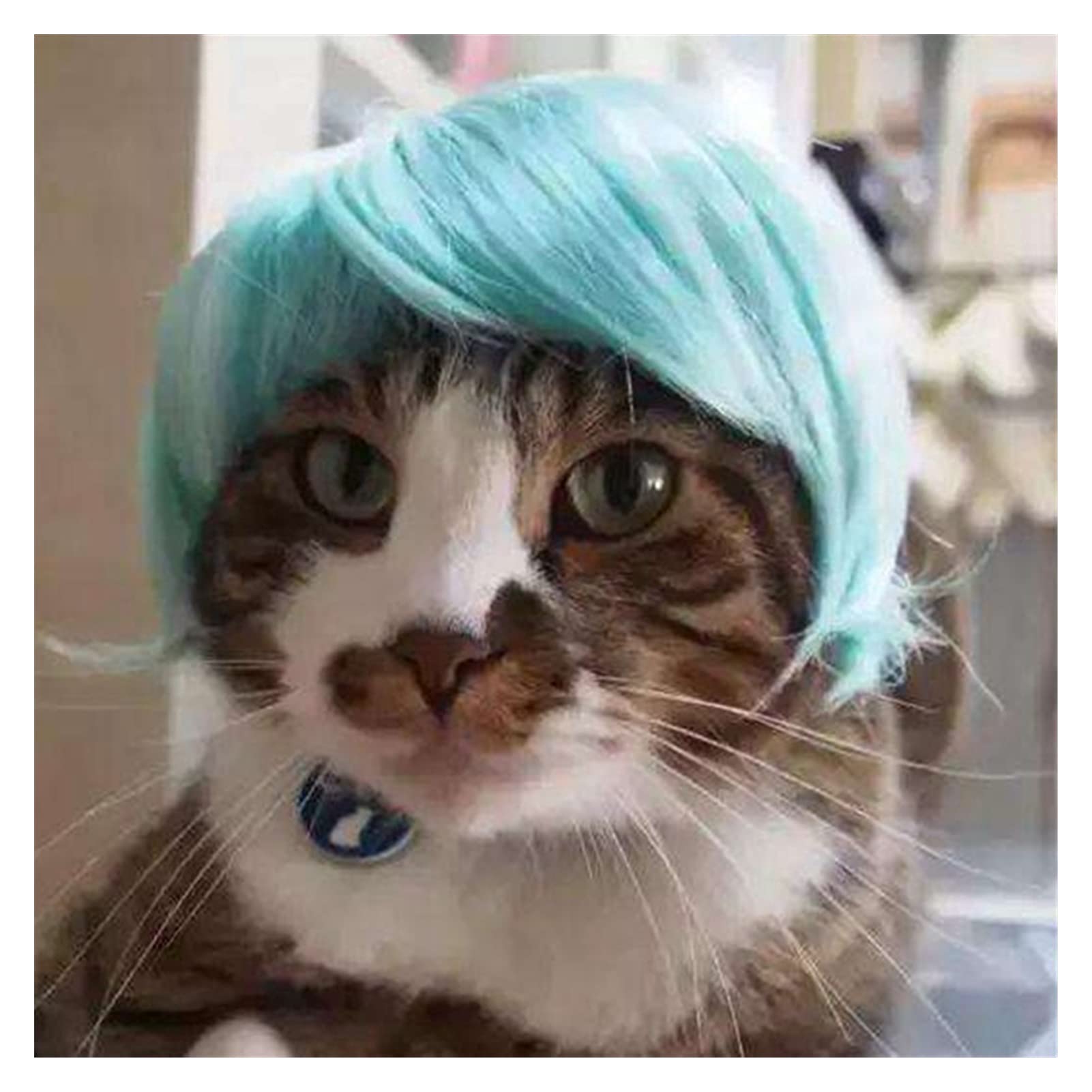 SANAMI様のオーダーページ　青と白の猫マスコットその1 QY-076 【 送料無料 】 ベニーズキャット ちょーだい 可愛い