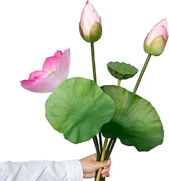 Simulation Lotus Lea, Lifelike Water Lily Buds Ornaments, Silk Artificial Flower Lotus Seedpod, Household Living Room and Dining Table Decoration Flower Arrangement 2-no vase