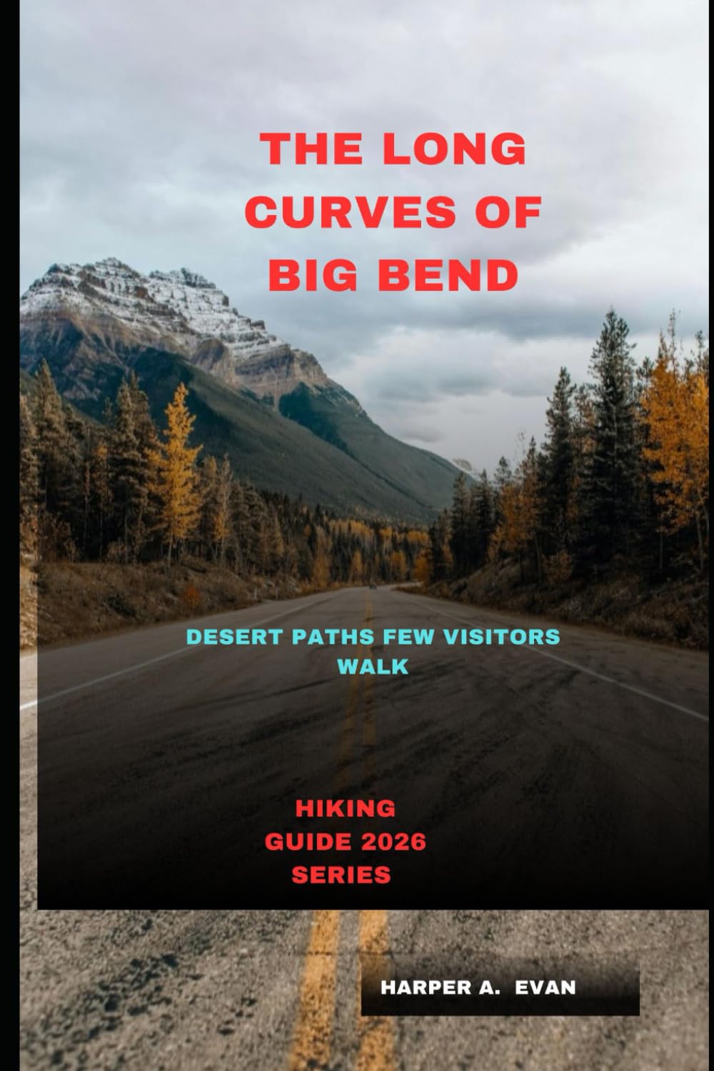 THE LONG CURVES OF BIG BEND: DESERT PATHS FEW VISITORS WALK
