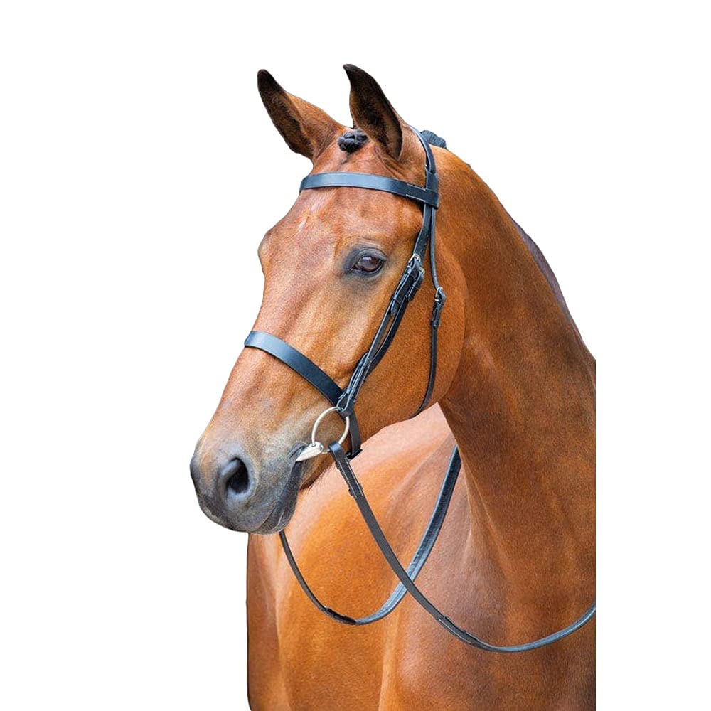 Shires Salisbury Berrington Snaffle Bridle (Small Pony, Black)