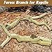 VCEPJH Snake Climbing Branch 3PCS Reptile Wood Natural Cork Log Terrarium Decor Bearded Dragon Tank Accessories Tree Trunk for Chameleon Gecko Ball Python Frog Panlong Wood (11.8-15.7in)