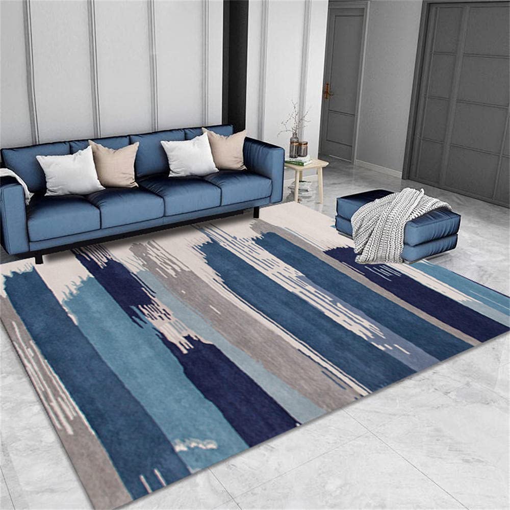 Moquette Exterieur et Salon Tapis Bleu Indéformable