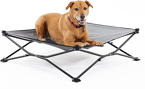 Elevated Dog Bed