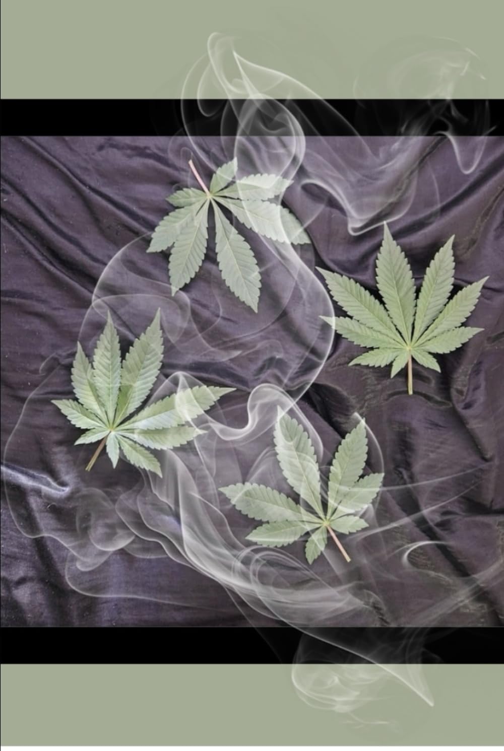 Marijuana Smoke Journal