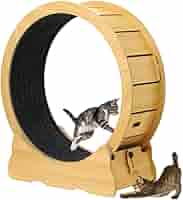 Amazon.co.jp: iimono117 キャットホイール 猫の車輪 直径87