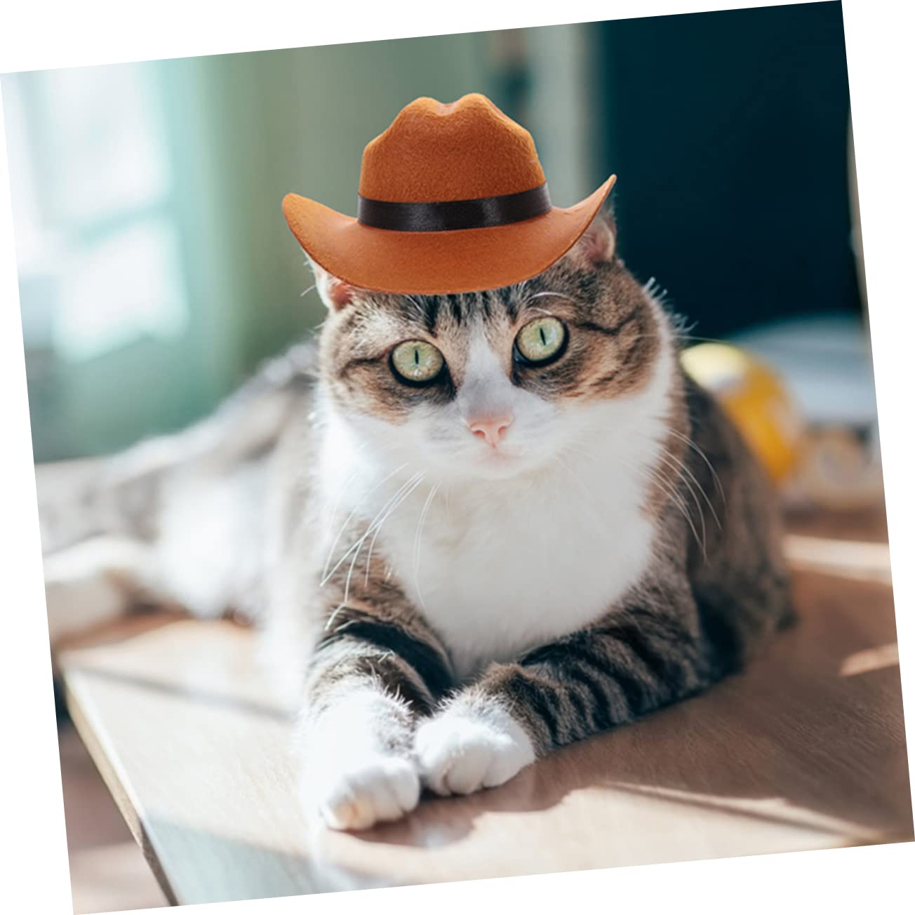 POPETPOP 5pièces Chapeau pour Animaux avec Bandana Accessoire Vintage pour Chiens Et Chats Costume Festif pour Photos Et Événements