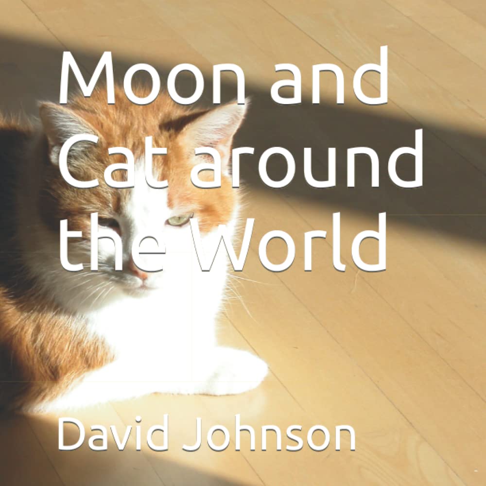 Moon and Cat around the World