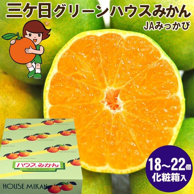三ケ日 グリーンハウス みかん 秀品 Sサイズ22個入 or Mサイズ16個入 化粧箱入 静岡県浜松産 JAみっかび