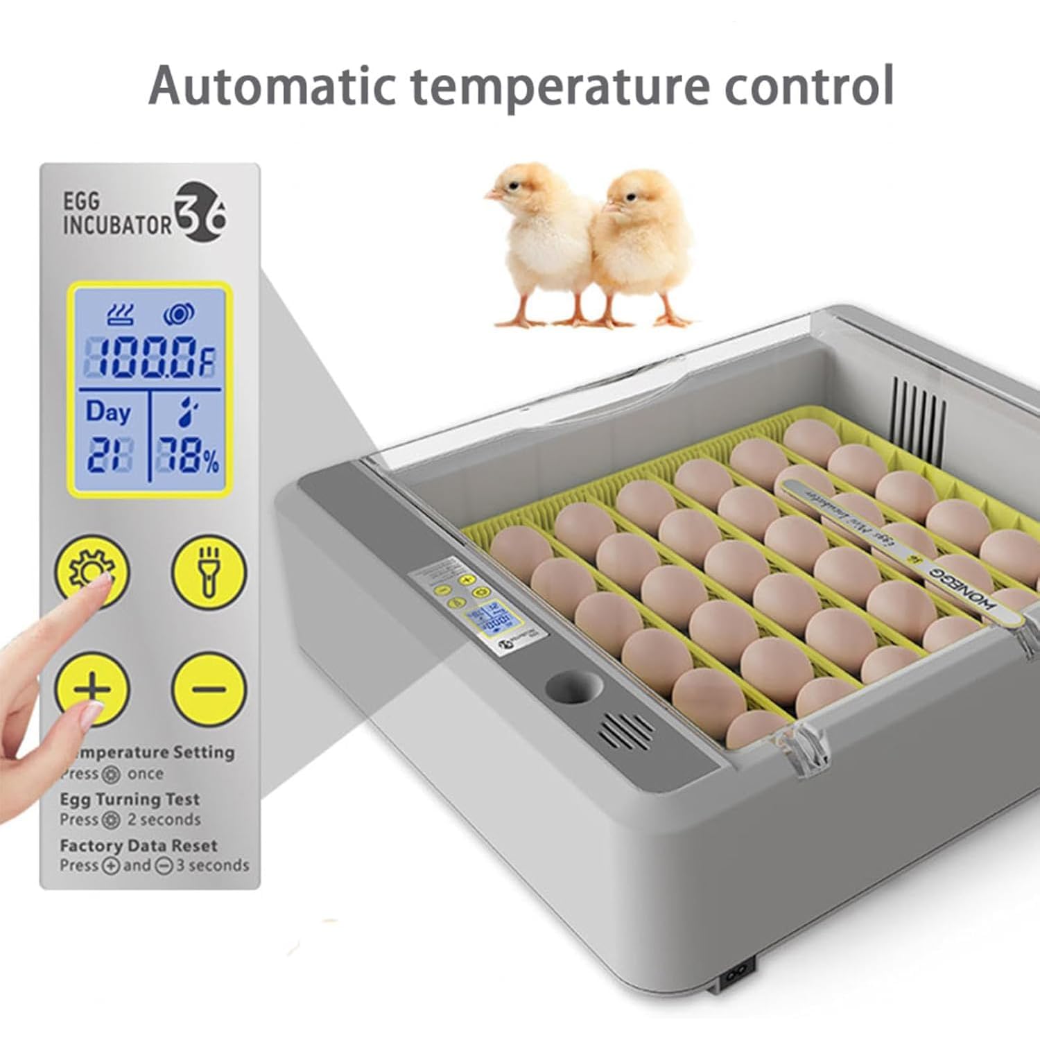 Accesorios Decorativos para el hogar, incubadora para Huevos fértiles - Capacidad para 36 Huevos, diseño Visual de 360°, volteo automático de Huevos, contr