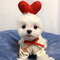 Vista 2 de XIAOYU Ropa para mascotas Sudaderas con capucha para perro, sudadera cálida, abrigo para cachorros, ropa de otoño e invierno con capucha de amor