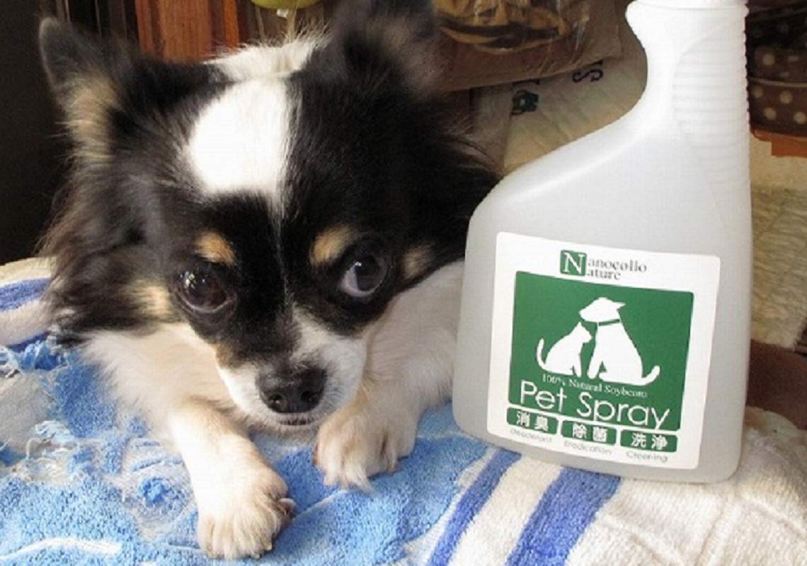 Amazon | 植物由来の天然成分の力でペットの消臭・除菌・洗浄 ナノコロ