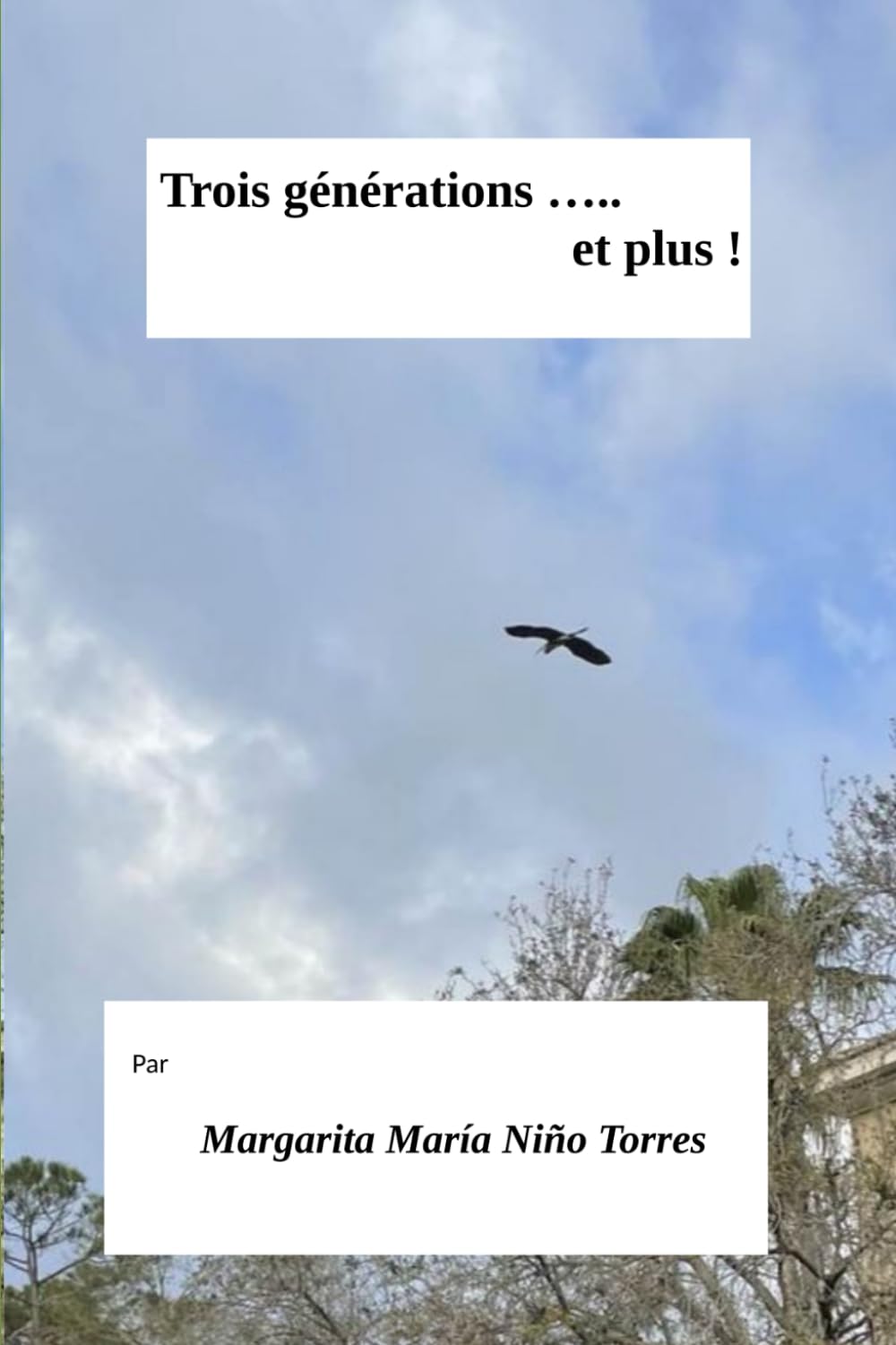 TROIS GÉNÉRATIONS ET PLUS (Nouvelles et contes en Francais)