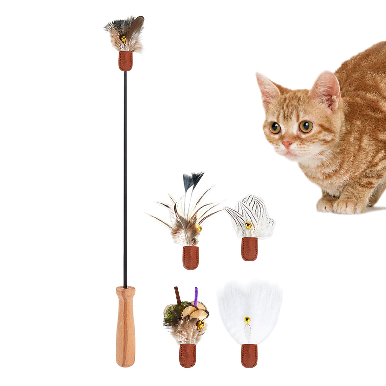 Jouet interactif pour chat pour l'anniversaire d'un jeune chaton actif