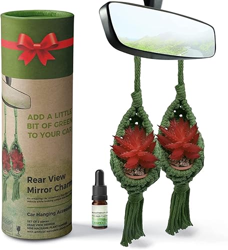 Juego de 2 macetas colgantes para suculentas con aceite esencial y suculentas artificiales, perfectas para el hogar, la oficina o el espejo