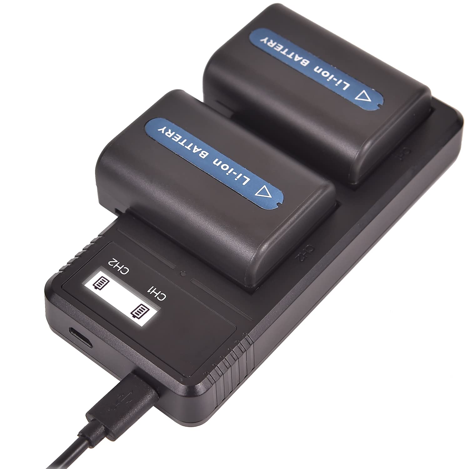 Lot de 2 batteries de rechange NP-FM55H DSTE + chargeur double LCD compatible avec NP-FM50 NP-FM30 NP-FM51 CCD-TR108, TR208, TRV116, TRV118, TRV126, TRV128, TRV138, chargeur de batterie