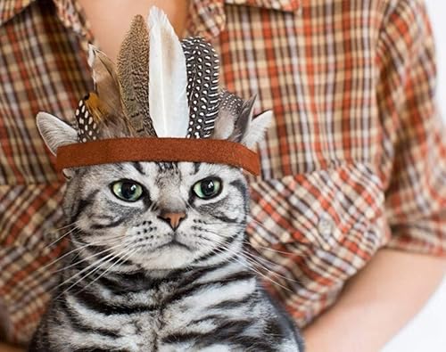 Accesorio para disfraz de mascota, sombrero ajustable de plumas indias para fiesta de Halloween
