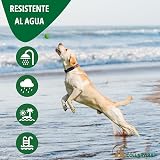 Ver la foto 6