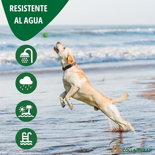 Foto 6 de 8 de Funda Collar Antiparasitario Perros para Todos los Collares Antiparasitarios para Perros