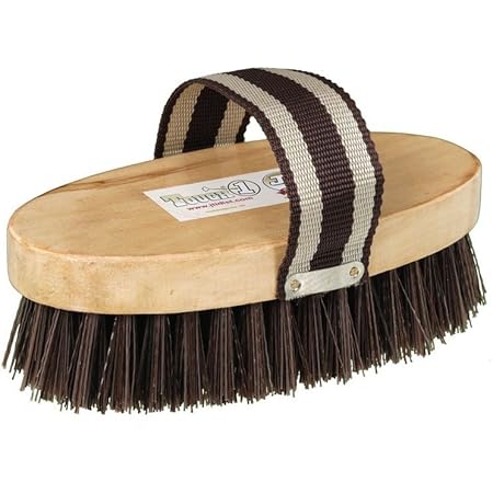 horse brush amazon