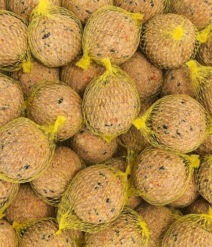 Dehner Natura Premium Meisenknödel mit Netz, Beerenknödel, ganzjähriges Wildvogelfutter proteinreich / energiereich, 30 Stück je 90 g (2.7 kg), Karton aus FSC-zertifizierter Produktion