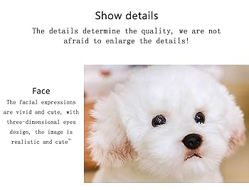 Amazon.co.jp: マルチーズ犬のぬいぐるみのシミュレーション