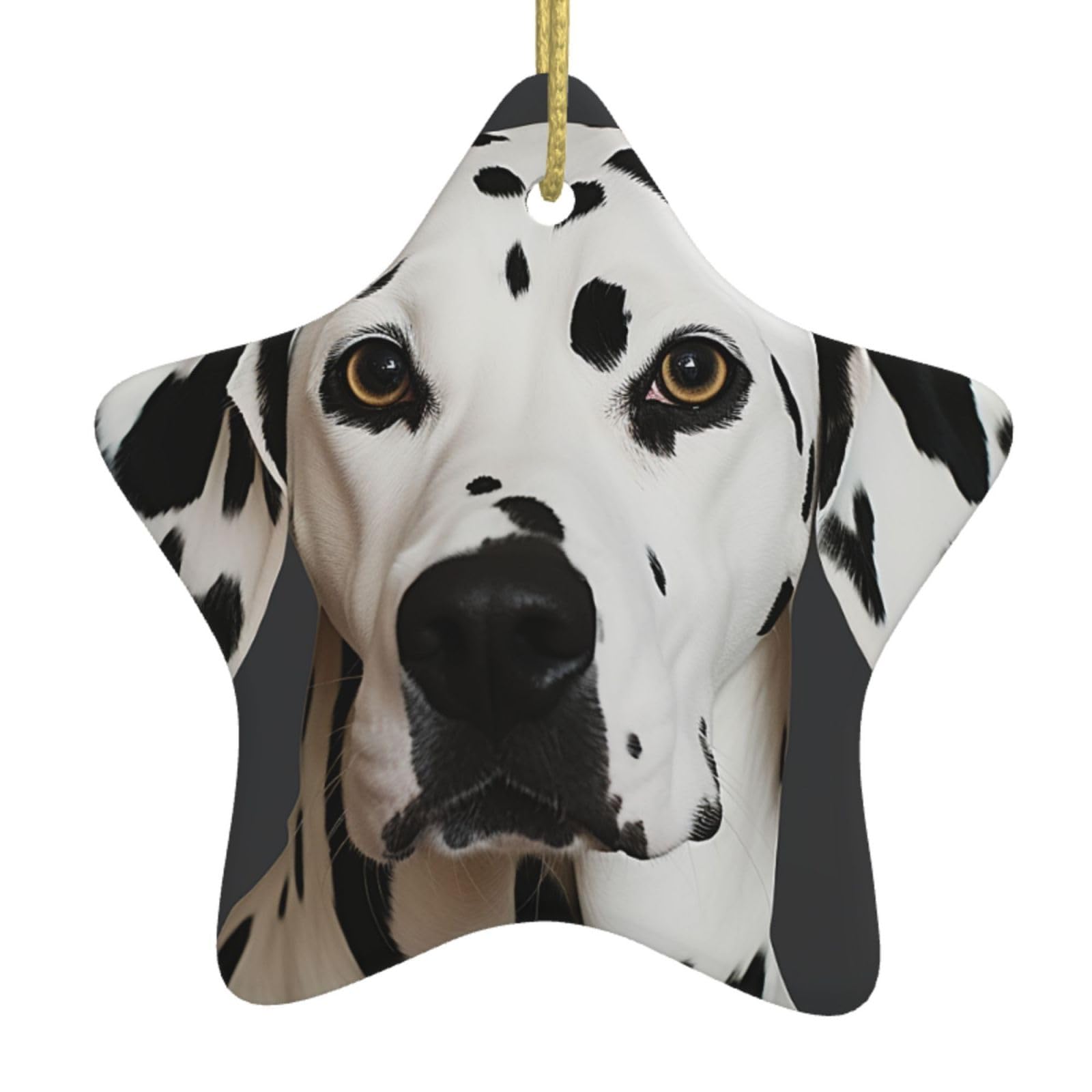 Fodpand Women's White Dalmatian Christmas Ornaments 2025, Gift Exchange For Men, Collectible Ceramic Ornament Star Hanging Ornaments For Christmas Tree Decoration