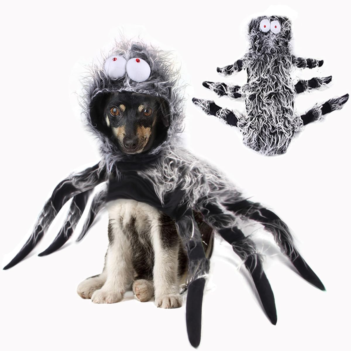 Dog Cat Spider Costume for Halloween Party Decoration