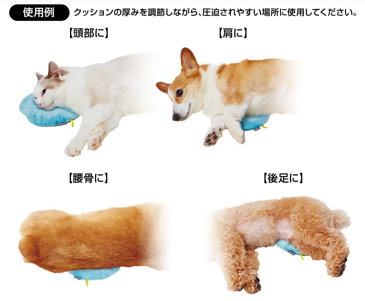 Amazon | ペティオ (Petio) Zuttone 厚みが調節できるやさしいビーズ