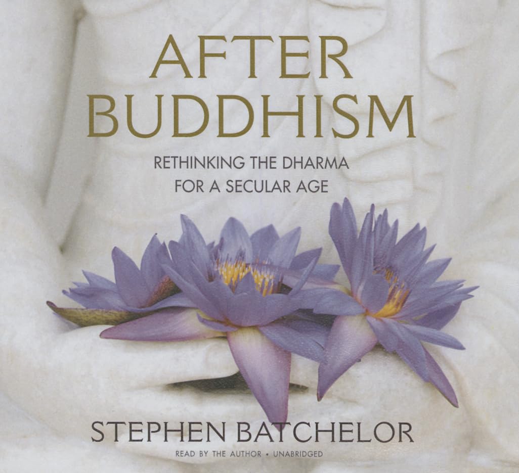 After Buddhism Rethinking the Dharma for a Secular Age