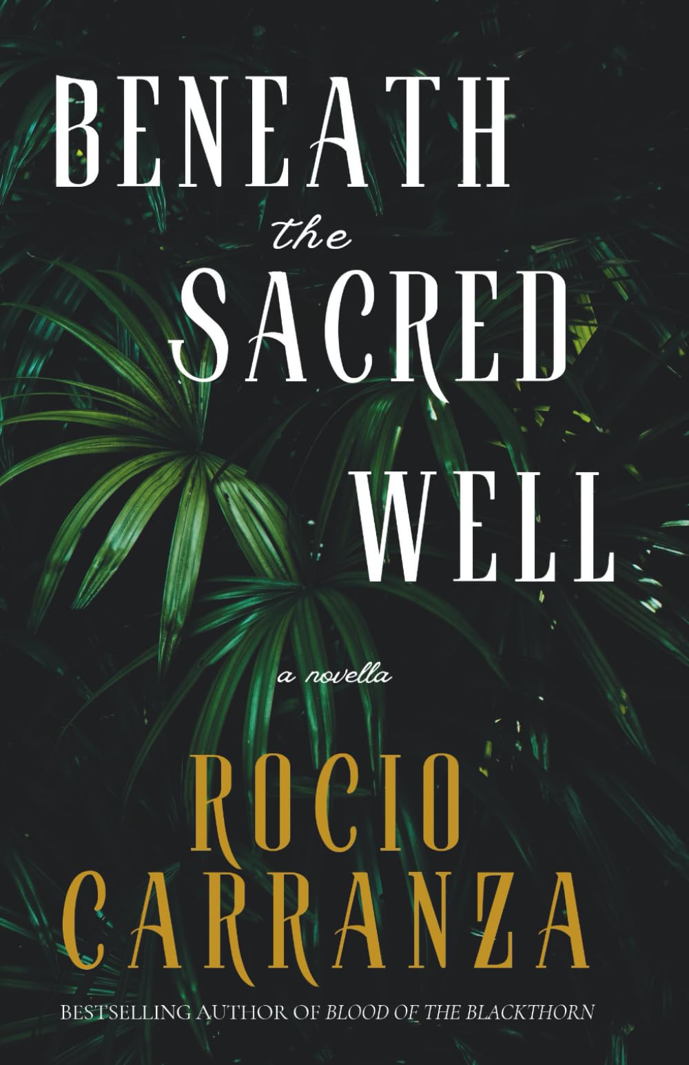Beneath the Sacred Well