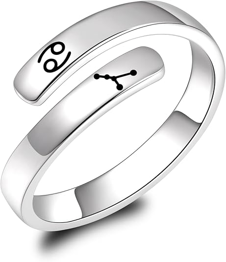 925 Sterling Silver Zodiac Sign Rings Adjustable 12 Constellation Astrology Rings Jewelry Gifts for Women