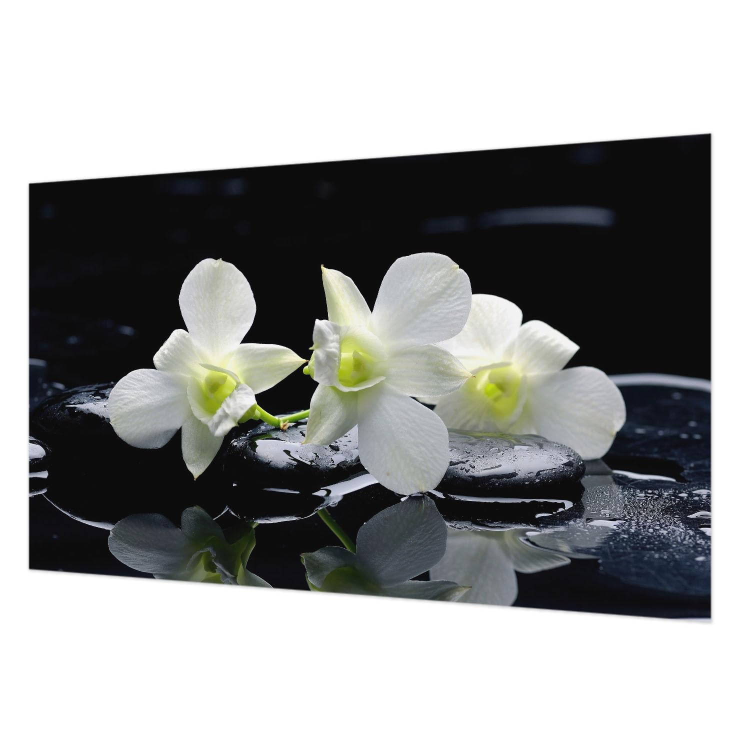 Papier peint Tulup fleurs et pierres 416x254 cm anti-taches pour grand mur