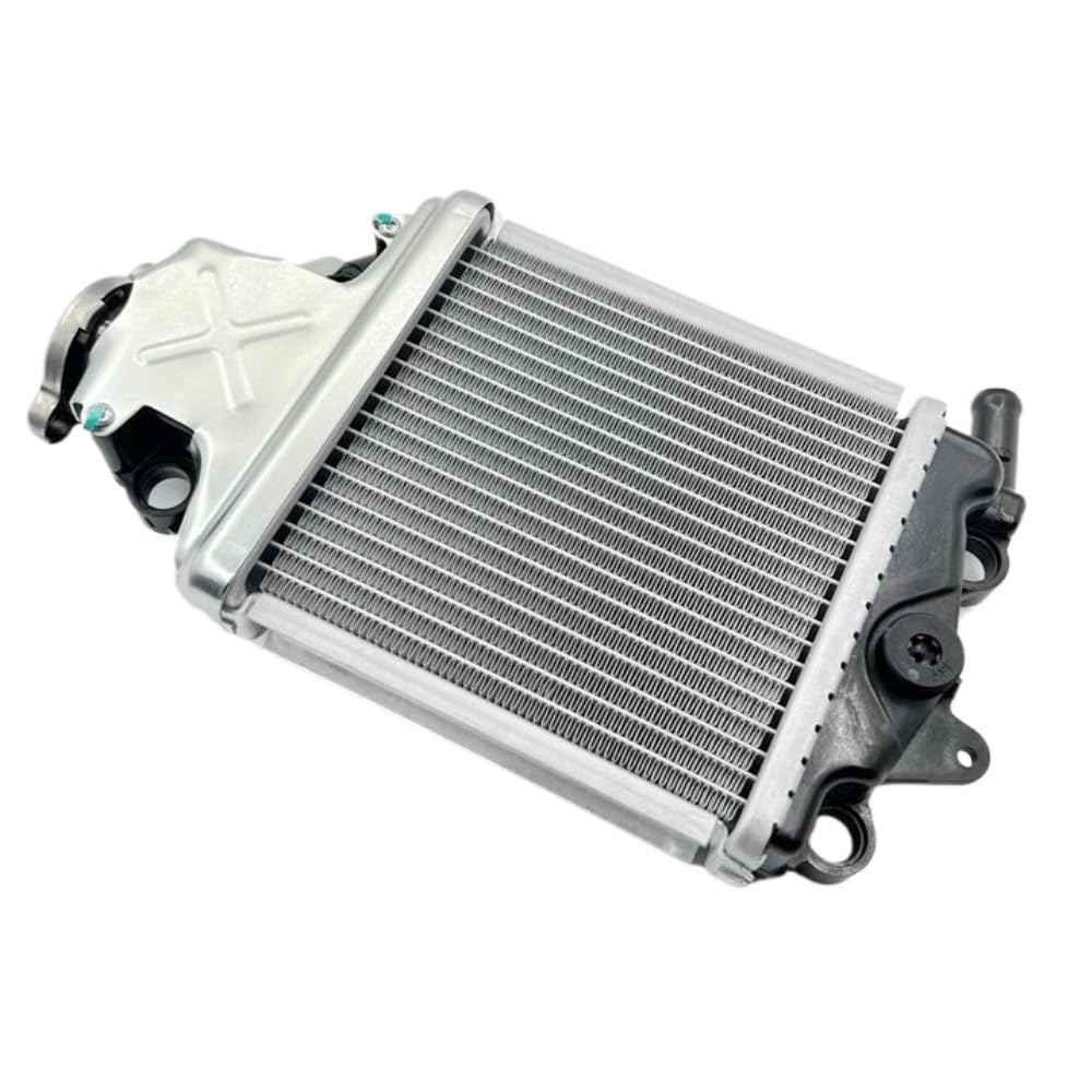 Accessori moto adatti for GW250-A Chi ADV150T-36 Acqua DY150T-30 VRF39 Raffreddamento del radiatore