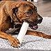 Pet Factory 100% Made in USA Beefhide 8-9