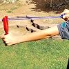 ¡La aventura te espera! - Paquete de 4 resorteras de madera talladas a mano - Roja, Azul, Amarilla (o Azul), Verde. Cada resortera de madera pintada a mano se vende en paquete de 4. 4