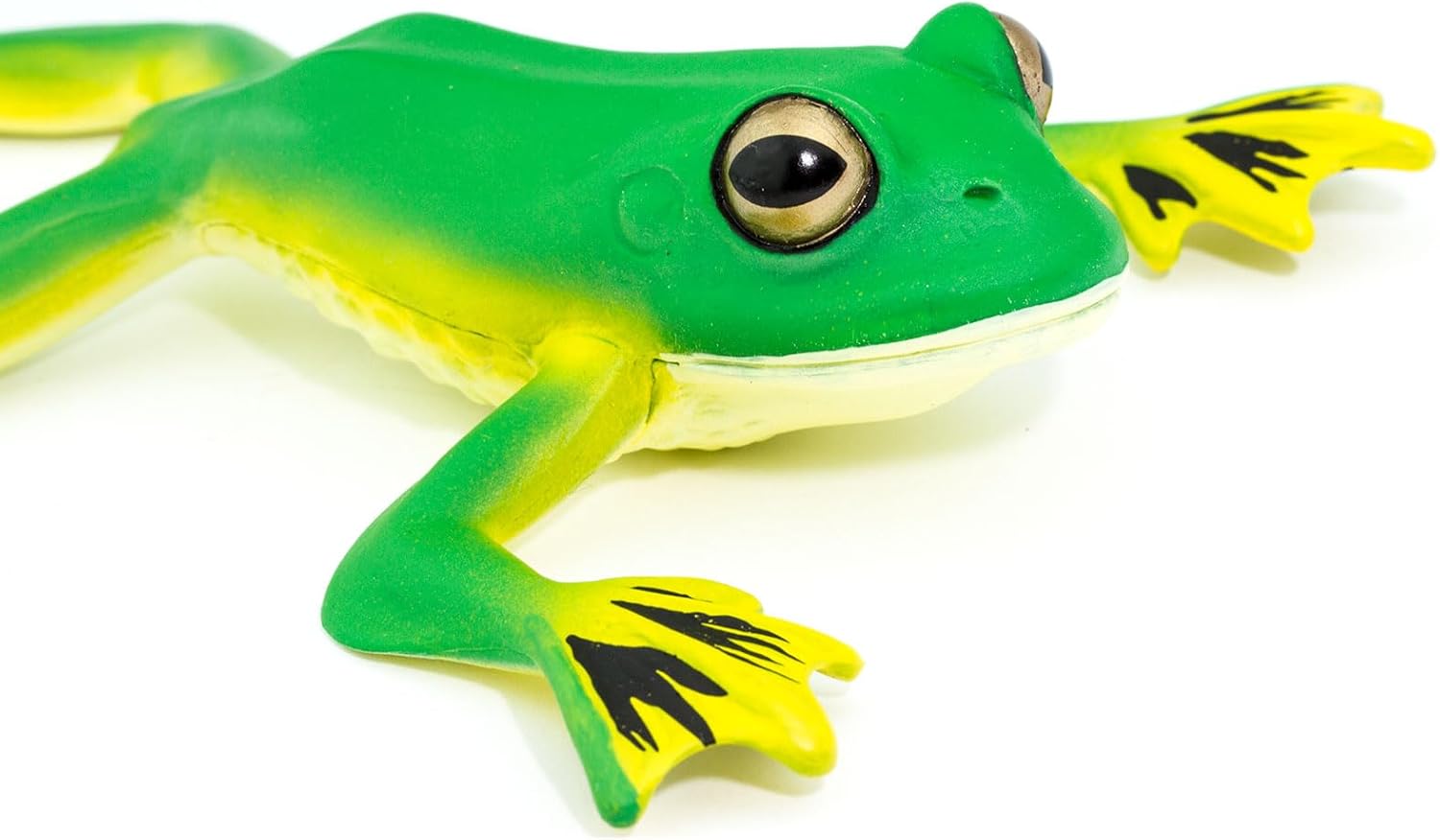 Safari Ltd. Flying Tree Frog Figurine - Lifelike 8" Amphibian Figure - Educational Toy for Boys, Girls, and Kids Ages 3+