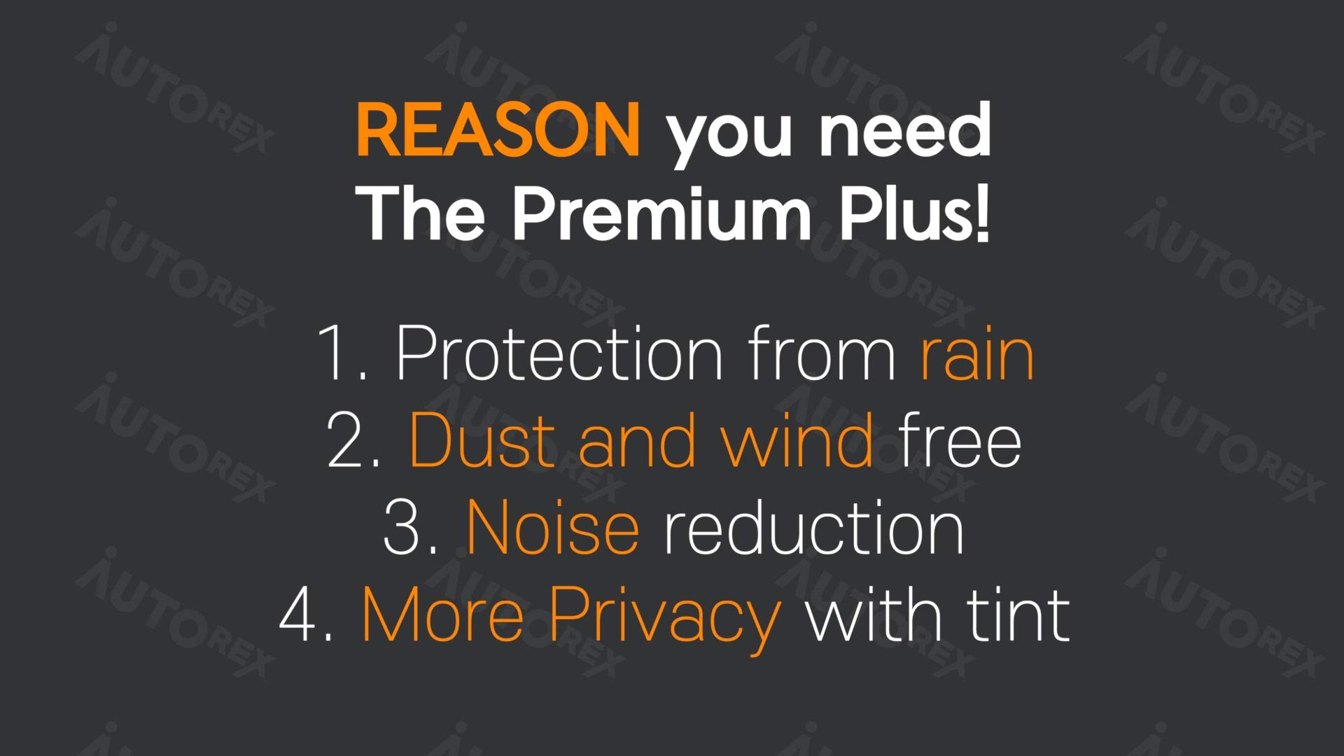 Twizy Premium Window Plus