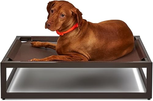 FUZI Up Pup - Cama elevada para perros, cuna refrescante, marco de hierro fuerte y pies antideslizantes para uso en interiores o exteriores, cama