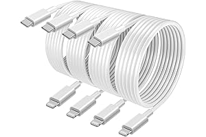 4 pack Apple Lightning Charger Cable 10ft for iPhone