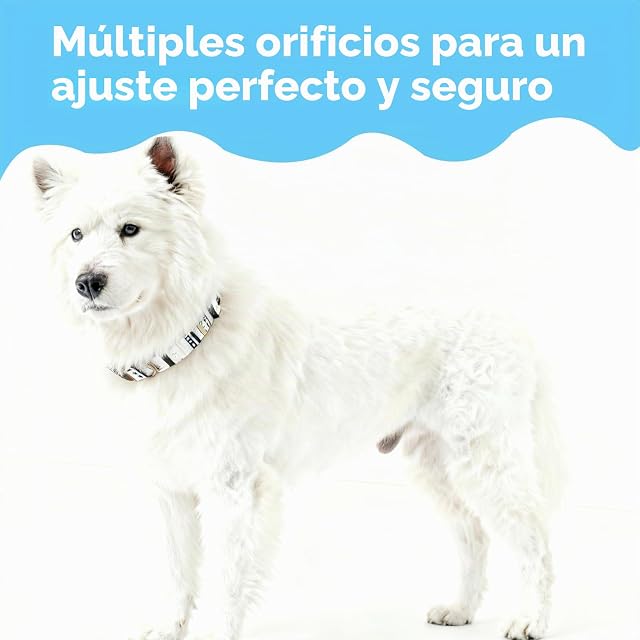 Foto 6 de 7 de Collar Perro Ajustable Y Resistente con Hebilla De LiberacióN Rápida Algodón Suave