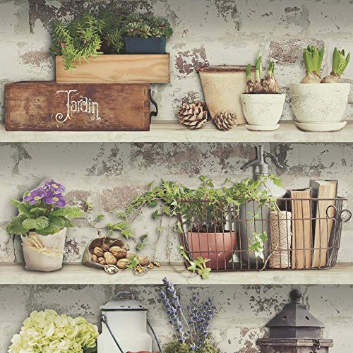 Shades Flower Pots Wallpaper Garden Rustic Shelves Distressed Green Grey White Full Roll