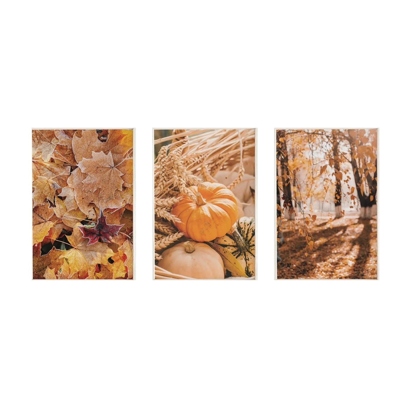 Graiting 3pcs Rustic Farmhouse Fall Print Pumpkin And Wheat Warm Autumn Art Frost Covered Leaves Forest Poster